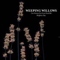 Weeping Willows : I'm Gonna Let Love Find Me